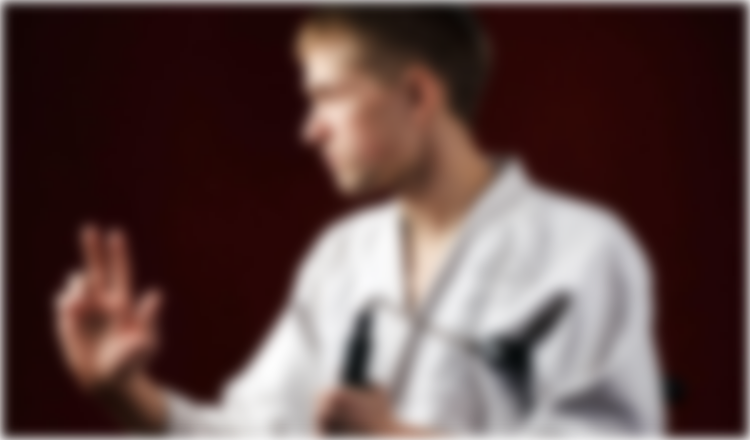 10 Most Popular Martial Arts in the US